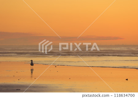 beautiful beach sunrise beautiful beach sunrise 118634700