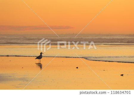 beautiful beach sunrise 118634701