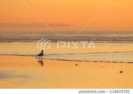 beautiful beach sunrise beautiful beach sunrise 118634702