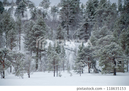 Arctic Norway in Winter 118635153