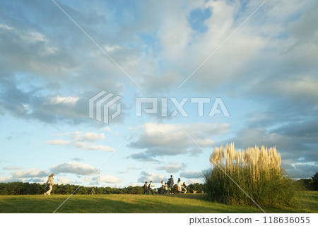 Pampasgrass 118636055
