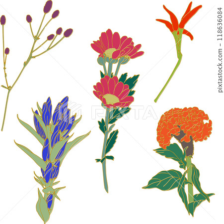 Autumn flower illustration set, color, gold line 118636084