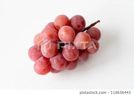 妮娜女王紅葡萄照片 妮娜女王紅葡萄照片 118636443