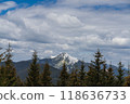Beautiful spring landscape with pines and snow-covered mountains 118636733