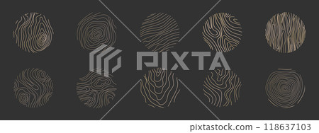Golden thin line tree ring collection. Elegant gold wooden section texture circle. Topography map geographic grid contour. Wood stump timber. 118637103