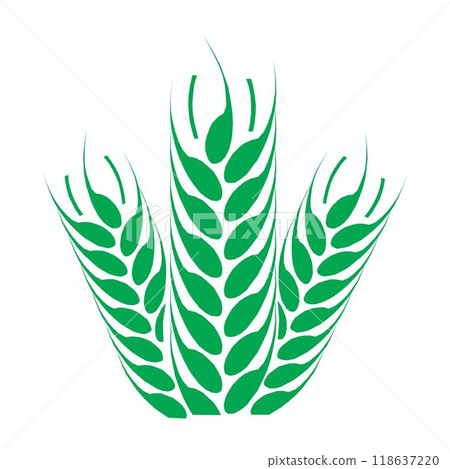 Wheat spike vector illustration Agriculture Symbol icon. Wheat spike vector illustration Agriculture Symbol icon. 118637220