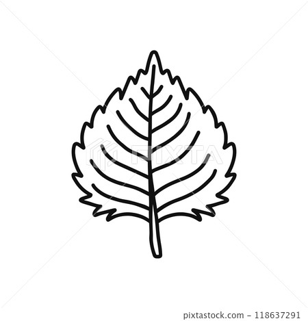 紫蘇線描 紫蘇線描 118637291