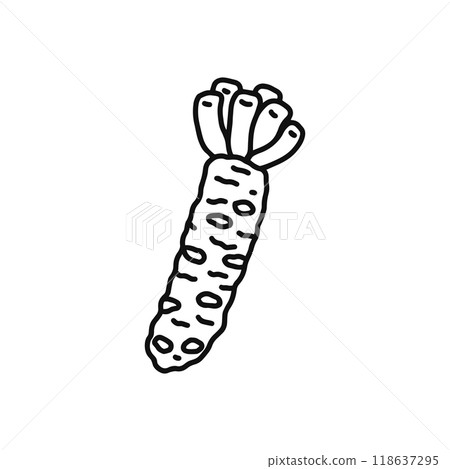 Wasabi line drawing Wasabi line drawing 118637295