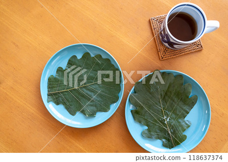 Kashiwamochi leaves 118637374