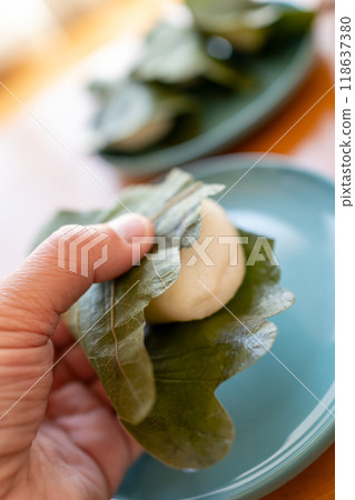 Kashiwamochi Kashiwamochi 118637380