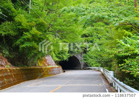 Scenery from Nankai Koyasan Station 118637507