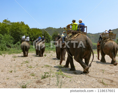 Rocking on the back of an Asian elephant Rocking on the back of an Asian elephant 118637601