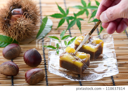 Japanese sweets Yokan (steamed chestnut yokan) 118637814