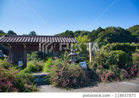 三葉草季節的瑞源寺 三葉草季節的瑞源寺 118637873