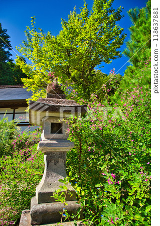 Zuigenji Temple in the Hagi season Zuigenji Temple in the Hagi season 118637881