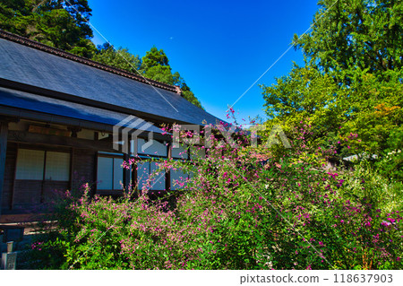 Zuigenji Temple in the Hagi season Zuigenji Temple in the Hagi season 118637903
