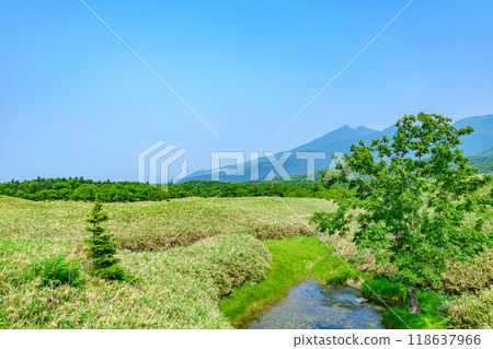 Walk around the spectacular Shiretoko Five Lakes 118637966