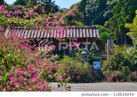 Zuigenji Temple in the Hagi season 118638049