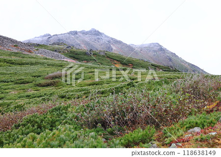 日本名山百選富村牛山登山道、前富平附近看到的山頂初雪 日本名山百選富村牛山登山道、前富平附近看到的山頂初雪 118638149