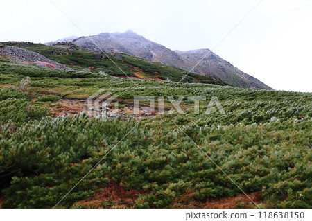 日本名山百選富村牛山登山道、前富平附近看到的山頂初雪 118638150