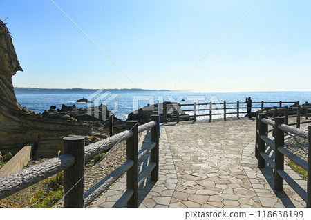神奈川縣橫須賀市長居荒崎公園 118638199
