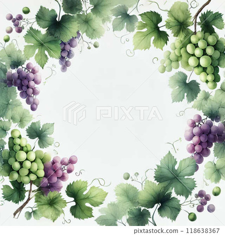 葡萄白葡萄酒插圖 118638367