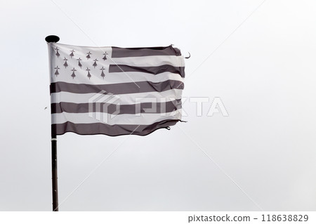 Flag of Brittany waving atop of its pole 118638829