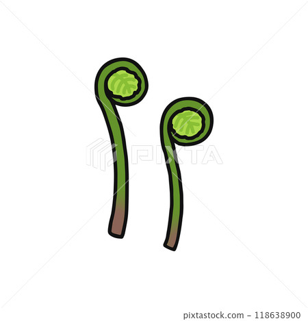 Wild spring mountain vegetables 118638900