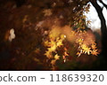 Autumn leaves lighted up 118639320
