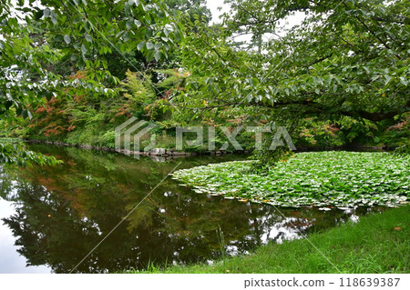 Hirosaki Castle 051 Honmaru Inner Moat Hirosaki Castle 051 Honmaru Inner Moat 118639387