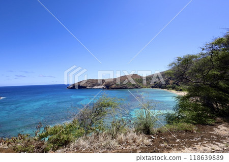 Hanauma Bay coral reef and blue sea 7 Hanauma Bay coral reef and blue sea 7 118639889