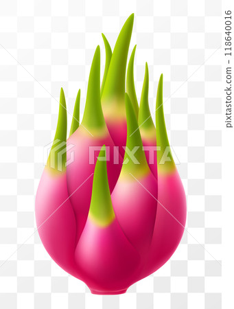 Dragon fruit. Pitaya or pitahaya isolated on transparent background. Exotic dragon fruit. Summer tropical vitamin fruits. Fresh ripe eating with white flesh. Realistic 3d vector illustration. 118640016