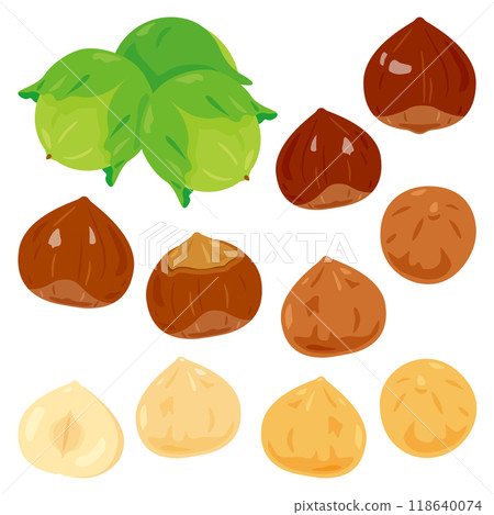 Hazelnut nuts set Hazelnut nuts set 118640074