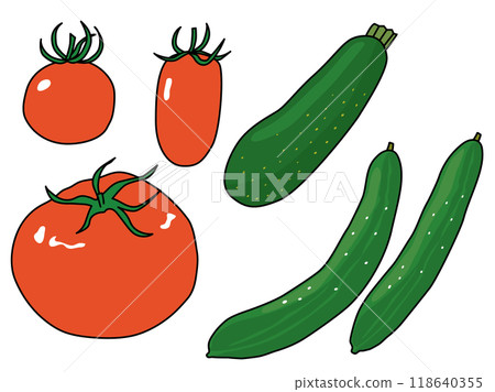 帶有主線的西紅柿、西葫蘆和黃瓜的夏季蔬菜插圖集 118640355