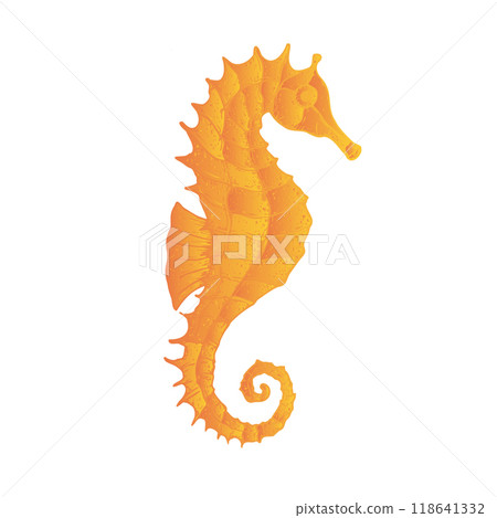 Vector seahorse. Hand painted line art. Graphic tropical clip art isolated on background. Underwater illustration. For designers, invitations, decoration, postcards, wrapping paper, scrapbooking, 118641332