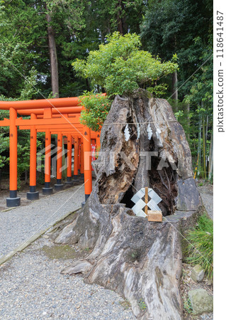 水戶偕樂園常盤神社 118641487