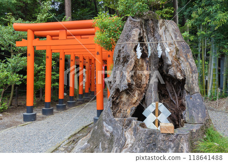 水戶偕樂園常盤神社 118641488