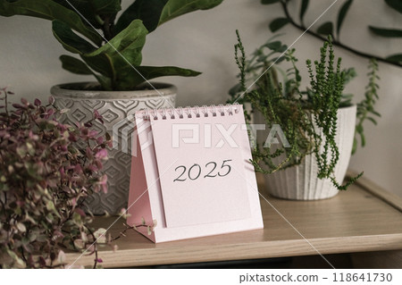 Calendar 2025 and house plants on a shelf Calendar 2025 and house plants on a shelf 118641730