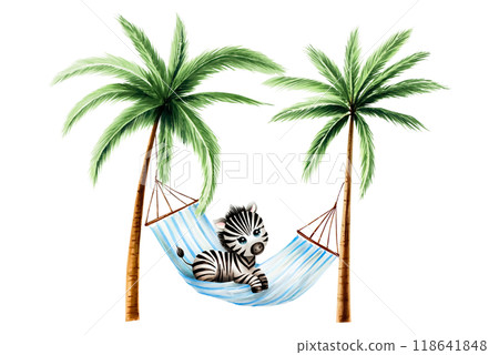 Cute baby zebra on striped hanging hammock with Green palm trees. Lazy summer clipart. Watercolor hand drawn floral jungle illustration isolated on background. For designers, postcards, greetings, bir 118641848