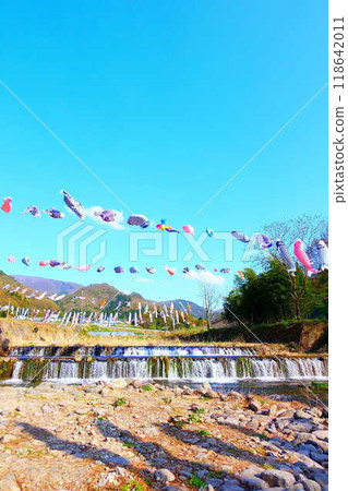 Carp streamer, carp streamer, carp banner, Takase River, Yamagata City 118642011
