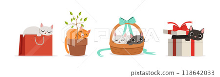 Playful Cat as Fluffy Feline with Cute Snout at Home Vector Set 118642033