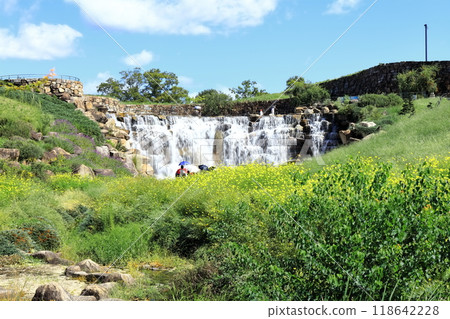 [Kagawa Prefecture] Autumn National Sanuki Mannou Park (Shoryu Falls and Cosmos) 118642228