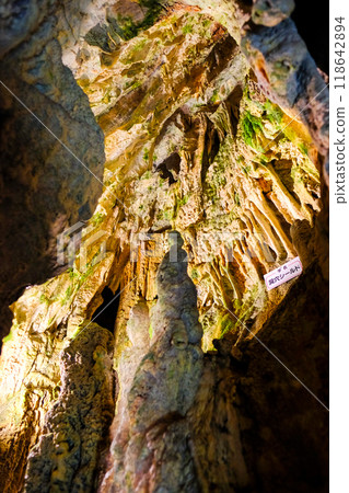 Moon World (Vertical) Moon World (Vertical) 118642894