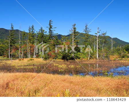 Under the clear blue autumn sky, the "Dojo Pond" in Norikura Highlands and autumn leaves 118643429