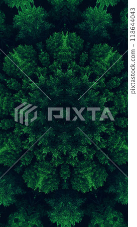 Nature kaleidoscope green trees foliage digital geometric symmetry intricate design art illustration abstract background. 118644043
