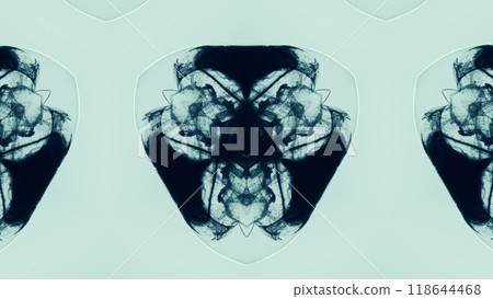 Abstract symmetrical black ink pattern kaleidoscope inkblot design illusion art illustration background. 118644468