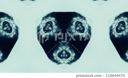 Intricate symmetrical geometric ink pattern in modern monochrome design art illustration abstract background. 118644470