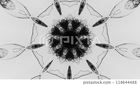 Intricate black white kaleidoscope design with symmetrical pattern modern artistic touch art illustration abstract background. 118644488