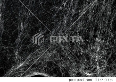 Spooky creepy cobweb spiders web covered a black background. Abstract halloween background. 118644570