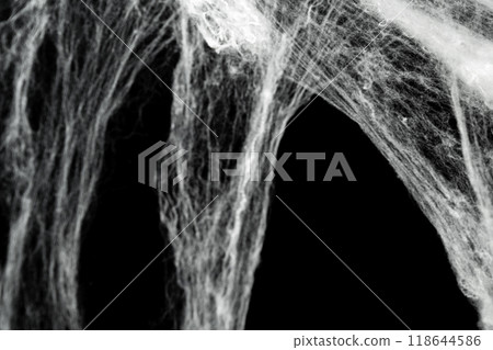 Spooky creepy cobweb spiders web covered a black background. Abstract halloween background. 118644586